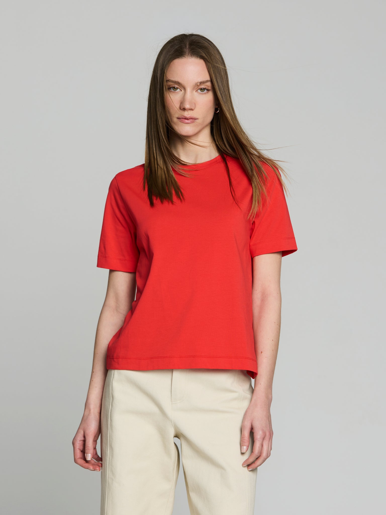 Camiseta básica algodón